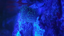 20160601_101204.jpg
