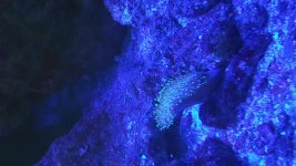 20160601_101212.jpg
