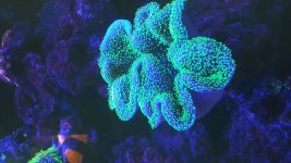 20160601_101218.jpg