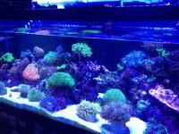 IMG_3037.JPG
