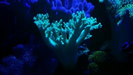 20160603_191206742.jpg