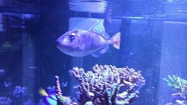 IMG_20160329_233044.jpg