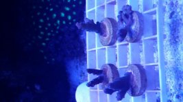 20160406_195240.jpg