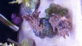 20160331_173103.jpg