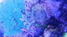 20160325_162503.jpg