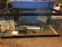 IMG_0538.jpg
