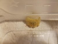 20160912_003945.jpg