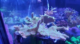 20160208_153129.jpg