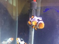 IMG_1705.jpg