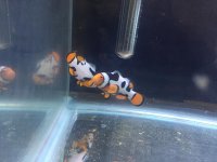 IMG_1710.jpg