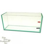 Mr.-Aqua-Serene-Mini-3-Gallon-Frameless-Glass-Aquarium-99.jpg