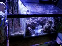 20160930_151306.jpg