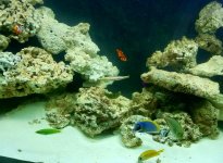 20160930_152644.jpg