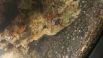 20160223_140049.jpg