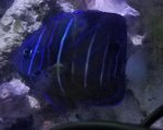 20160930_154810.jpg