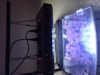image2.jpeg