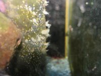 IMG_0127.jpg