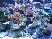 IMG_0031.JPG