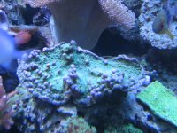 IMG_0009.JPG
