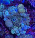Image1461718227.539717.jpg
