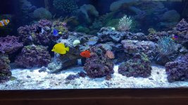 2017-03-18 12.59.07.jpg 2017-03-18 12.59.07.jpg