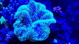 20160729_193429.jpg
