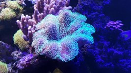 20160731_111921.jpg
