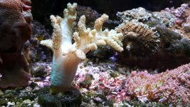20160730_133543.jpg