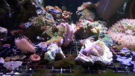 20160730_133356.jpg