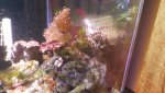 20160731_120842181.jpg