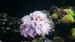 20160731_121023077.jpg
