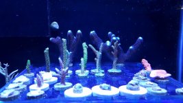 20170323_165325.jpg