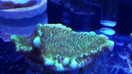 20170323_165255.jpg