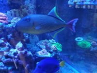 20170605_111043.jpg