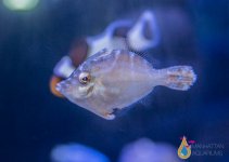 IMG_8876.jpg