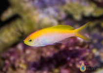 IMG_8889.jpg