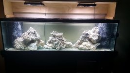 20160513_192438.jpg