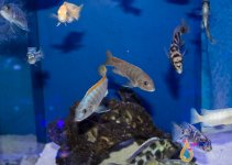IMG_2325.jpg