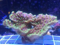 IMG_2311.JPG IMG_2311.JPG