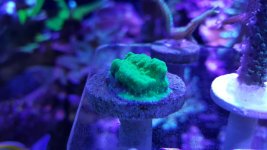 20160814_151232.jpg