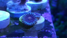 20160814_151737.jpg