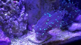 20160814_151845.jpg