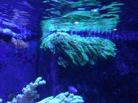 IMG_0224.jpg