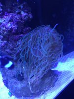 IMG_6510.jpg