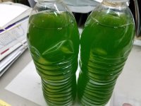 20170216_085318.jpg