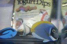 MY FISH 011.jpg