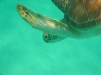IMG_0262.JPG