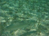 IMG_0364.JPG