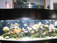 June12007Tank012.jpg