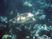 IMG_0254.JPG